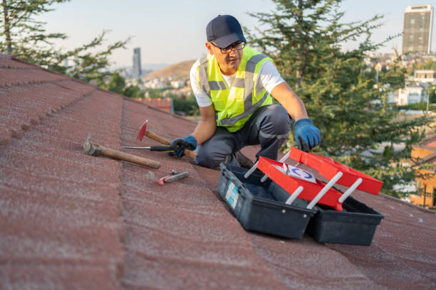 Best Insulated Siding Installation  in Conehatta, MS